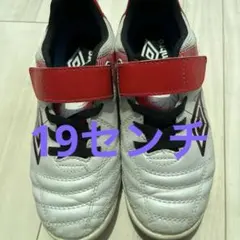 アンブロ　アクセレイタートレーニングシューズ　19センチ