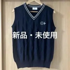 カミーチャスポルディーバプラス　ベストニット