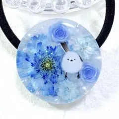 ひまうい様専用ページ - メルカリ