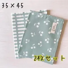 【ハンドメイド】給食ナフキン2枚セット　女の子　ランチョンマット　入園入学