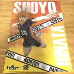 日向翔陽 影山飛雄 くら寿司 クリアファイル