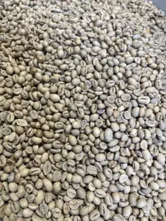 コーヒー生豆】ウガンダ5kg/ロブスタ/カウェリエステート/送料込み