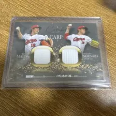 Item thumbnail for item fc193df8-71e5-495a-9468-e30d37291b33