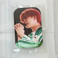 2025年最新】パンダドラゴン 缶バッジの人気アイテム - メルカリ