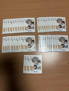 あんさんぶるスターズ あんスタ 大神晃牙 ぱしゃっつ 9周年 43枚セット