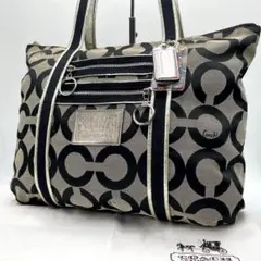 COACH ポピー シグネチャー レザー ハンドバッグ トートバッグc66