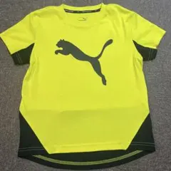 Puma イエロー ブラック Tシャツ