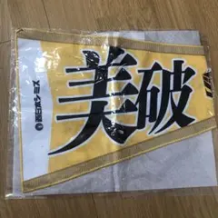 福岡ソフトバンクホークス 板東湧梧 フェイスタオル - メルカリ