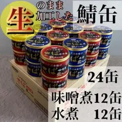 旬鯖 生のまま加工 鯖缶 サバ 水煮味噌煮 48個 国産 ゆう80 - メルカリ