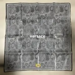 Item thumbnail for item 04103125-c902-4555-9d64-07d7fc8f253a