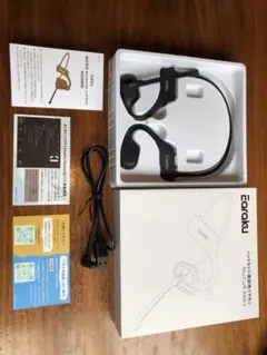 Item thumbnail for item 45fc98bb-9a68-405d-8210-da61cbd22145