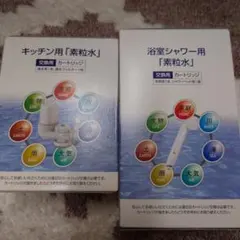 浴室シャワー用 【素粒水】交換用カートリッジ2個セット 浴室シャワー用 素粒水カートリッジ 交換用【2個セット】 - メルカリ