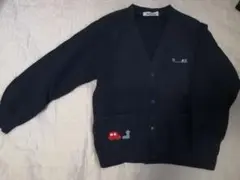 Item thumbnail for item 43572b6e-16be-4a54-b669-3da507e6737a