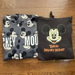TDRディズニーリゾートパーカー2枚