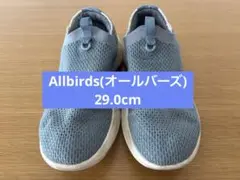 Allbirds(オールバーズ) スニーカー 29.0cm