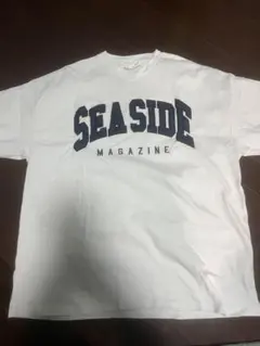 Item thumbnail for item 2e28f574-ee5f-4d71-b3fc-48e88cbfde97