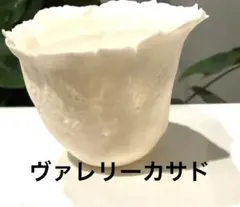 ヴァレリーカサド　繊細の極み　フレアとボタニカル意匠の美しい極薄器