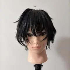 ときめきメモリアルGS4 風間玲太 コスプレ ウィッグ ブラック ときメモ