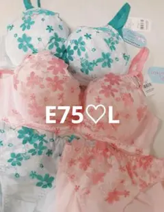 11月31日まで取り置き中♡E75/L☆新品未使用☆チュチュアンナ☆ブラショーツ