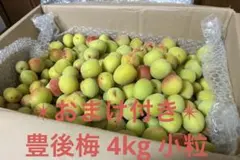 ✴︎おまけ付き✴︎自家採取 生梅 4kg 小粒のサムネイル