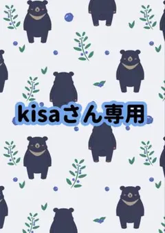 kisaさん専用ページ
