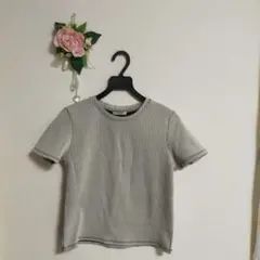 ZARA TRAFALUC　サマーニット　Mサイズ