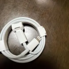 Apple純正Lightning to タイプc