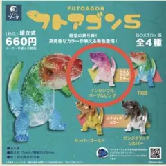 2026年最新】フトアゴンの人気アイテム - メルカリ