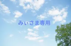 みぃさま専用