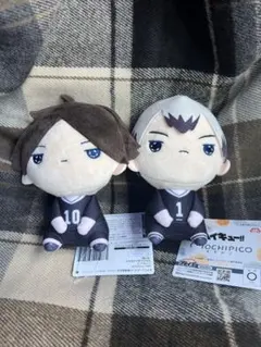 ハイキュー!! もちぴこぬいぐるみ 角名倫太郎 北信介