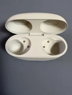 【美品】SONY WF-1000XM5 充電ケースのみ プラチナシルバー