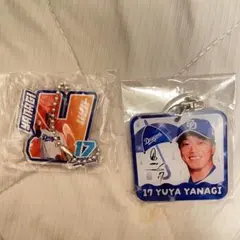 中日ドラゴンズガチャ 17