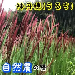 りょんまるる様 リクエスト 2点 まとめ商品