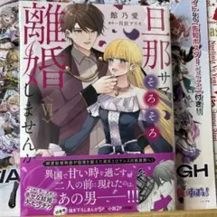 ☆新刊「日那サマと離婚しません VI」