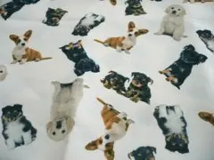 感情セール新品・色々な犬柄生地７０✕１００cm①