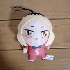 【ハイキュー】孤爪研磨 ちょぴぬい