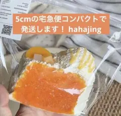 ding jingle bells 3層トースト　ブルーベリー 新品 hahajing ハハジン ブルーベリー 3層 トースト スクイーズ 大