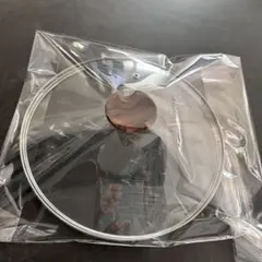 Item thumbnail for item 273045f0-e35d-4f49-adfa-c832c5dfeff6