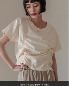 クリーム色 コットン100% Tシャツ サイズF