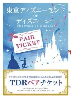 東京ディズニーリゾート ペアチケット
