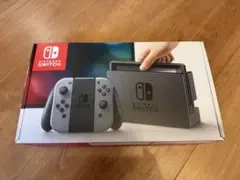 Nintendo Switch ニンテンドースイッチ SDカード&スタンド付き