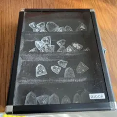 Item thumbnail for item 85f3fc9d-8c68-411e-a633-05b0e8897dd7