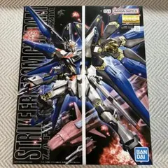 ガンプラ RG ストライクフリーダム ダブルオーライザー MG リックドム
