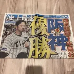 号外 阪神タイガース優勝記念新聞 日刊スポーツ ニッカン 2025年9月7日