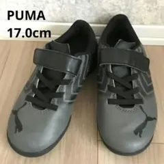 PUMA プーマ キッズ サッカー トレーニングシューズ グレイ 17.0cm