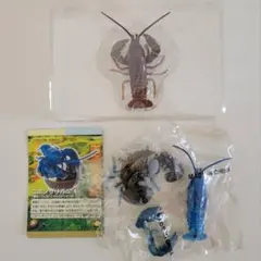 Item thumbnail for item 7754b5ad-548b-4ebd-a34e-821aa88c4198