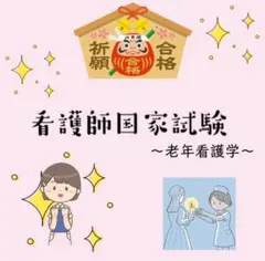 看護師国家試験 老年看護学 付箋ノート