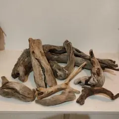 水槽用流木 セット