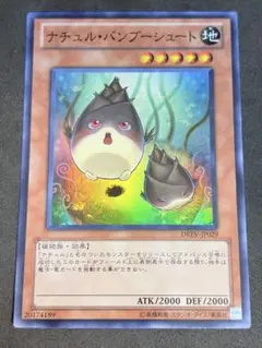 2026年最新】遊戯王ナチュル・バンブーシュートの人気アイテム - メルカリ