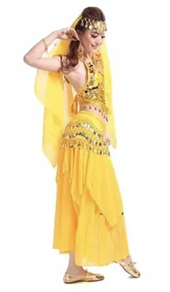 ベリーダンス衣装 プロも着用4点セット (衣装の色選択可能)